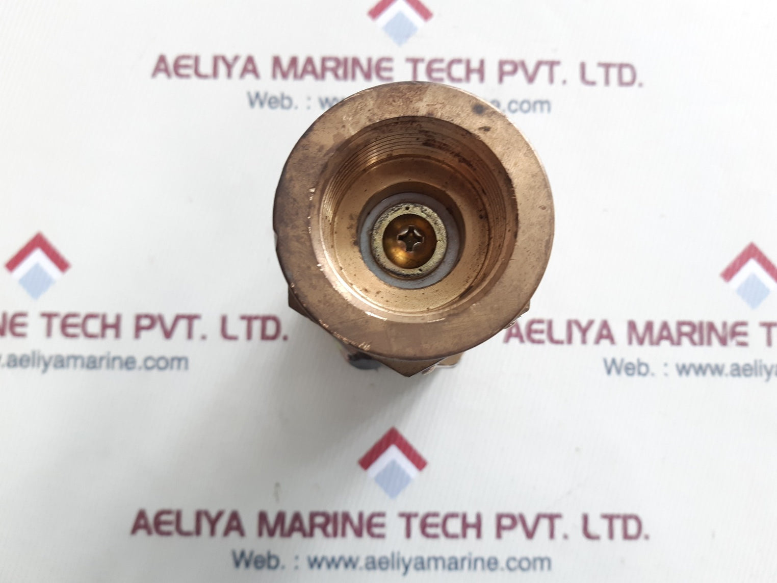 Asan svg-2w safety valve