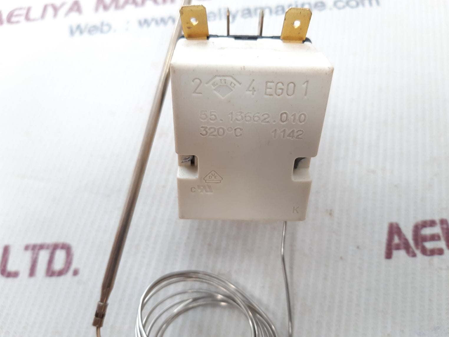 Ego 55.13662.010 thermostat