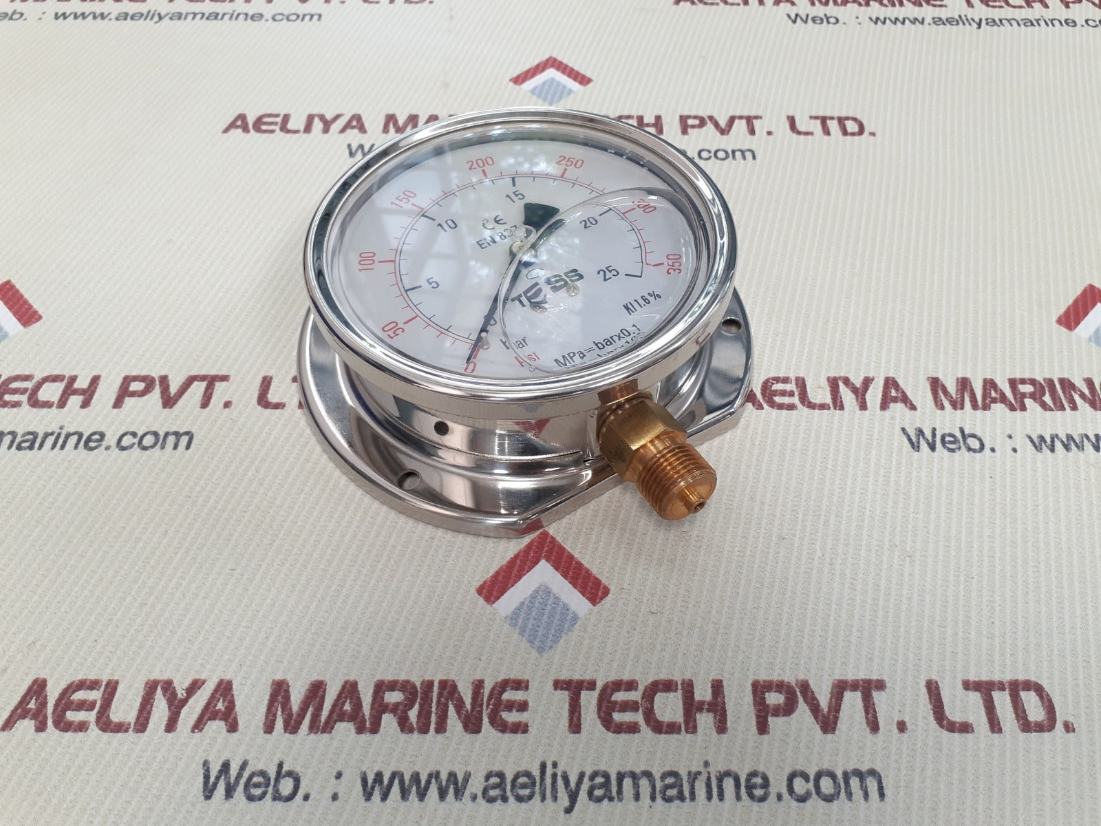 Tess en 837.1 pressure gauge