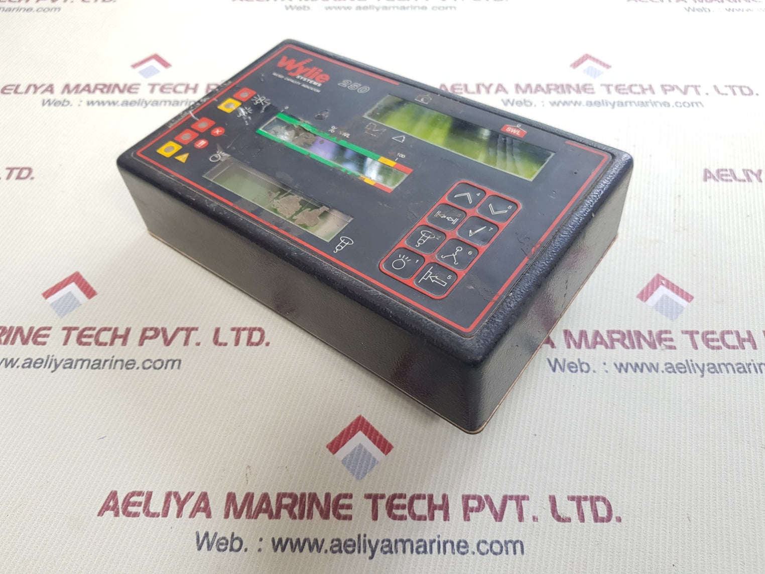 Wylie 250 rated capacity indicator