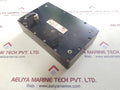 Wylie 250 rated capacity indicator