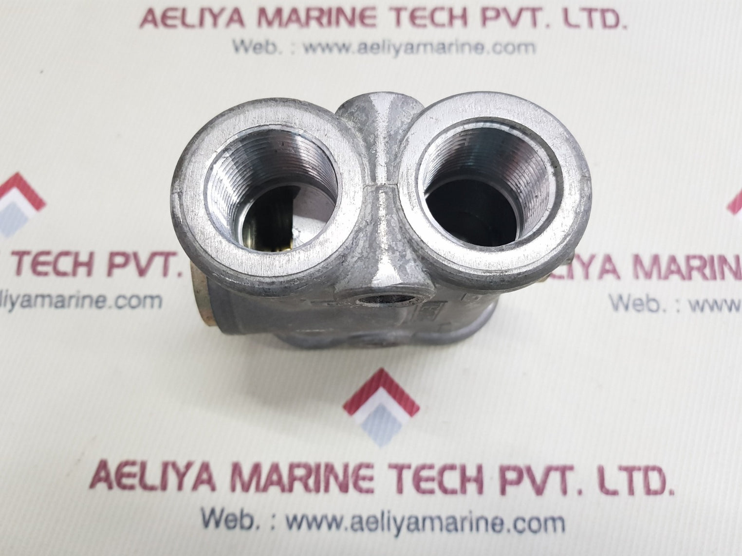 Hayden Ensco 5001 Thermostatic Valve G7819005