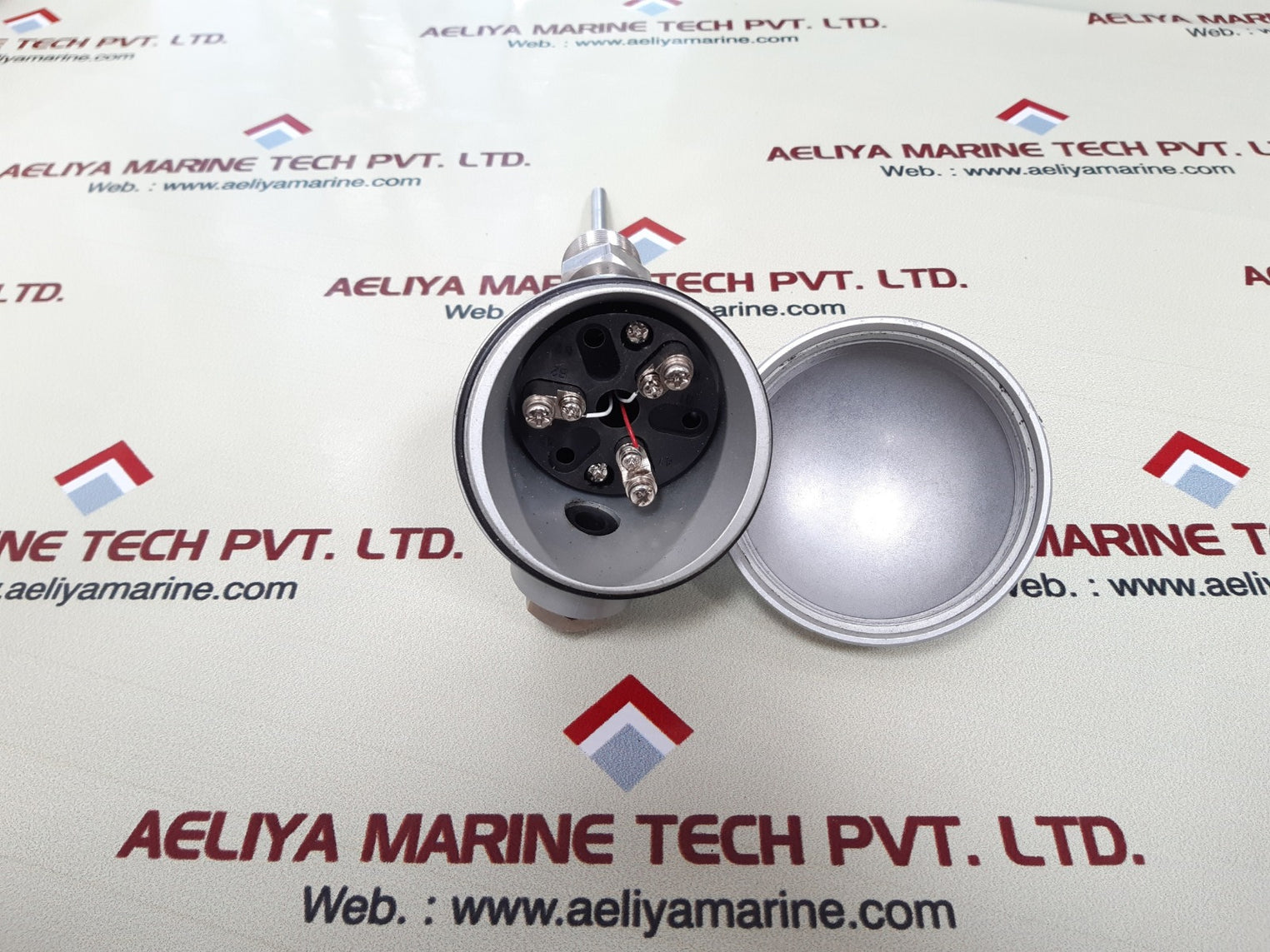 Rtw pt100 thermocouple temperature sensor