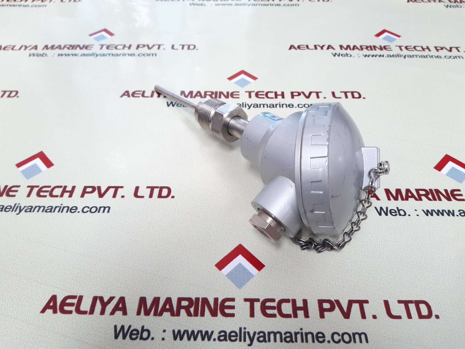 Rtw pt100 thermocouple temperature sensor