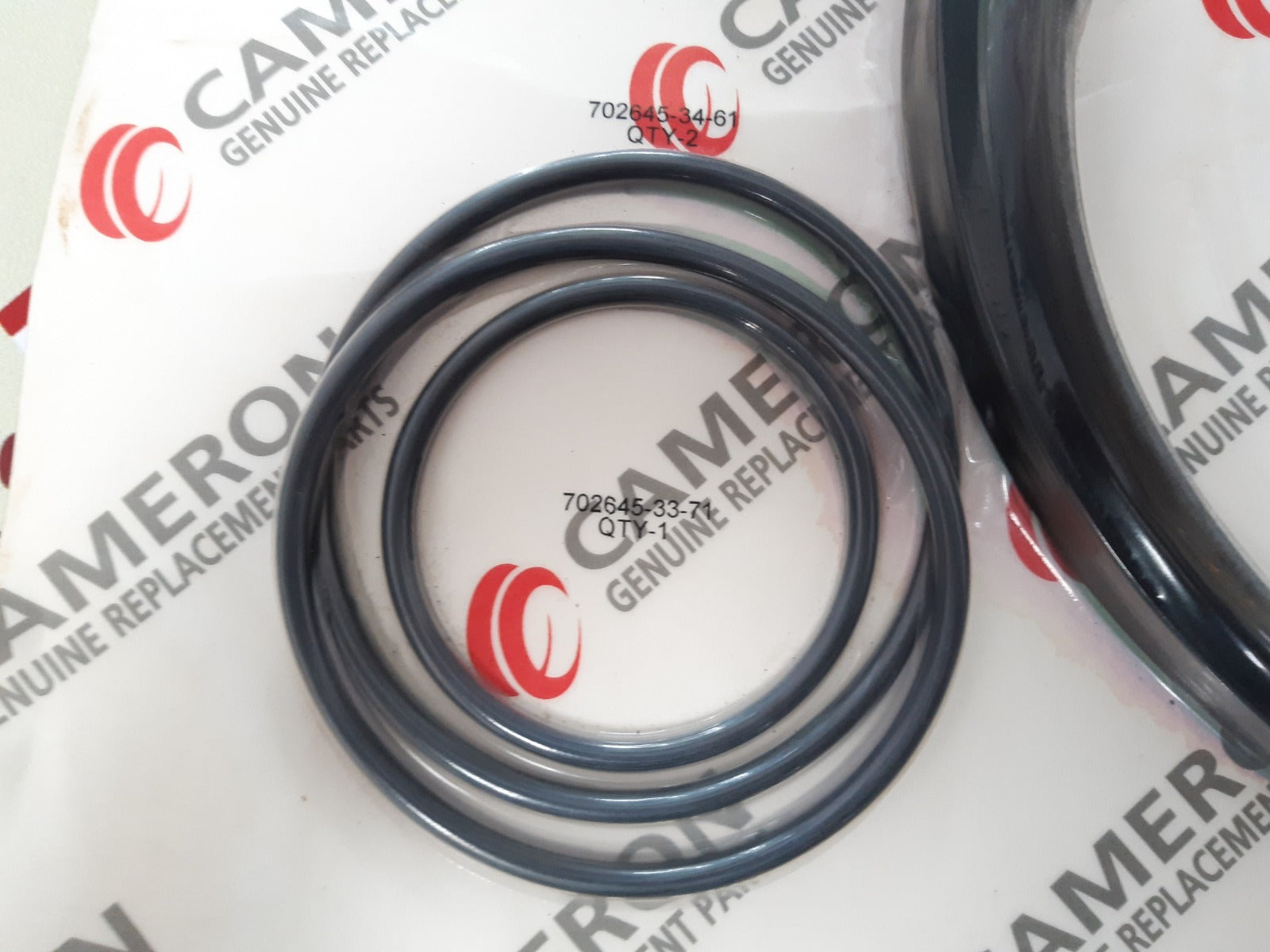 Cameron 644909-03 rebuild kit