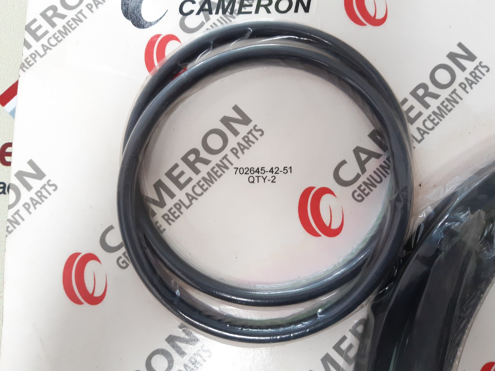 Cameron 644909-03 rebuild kit