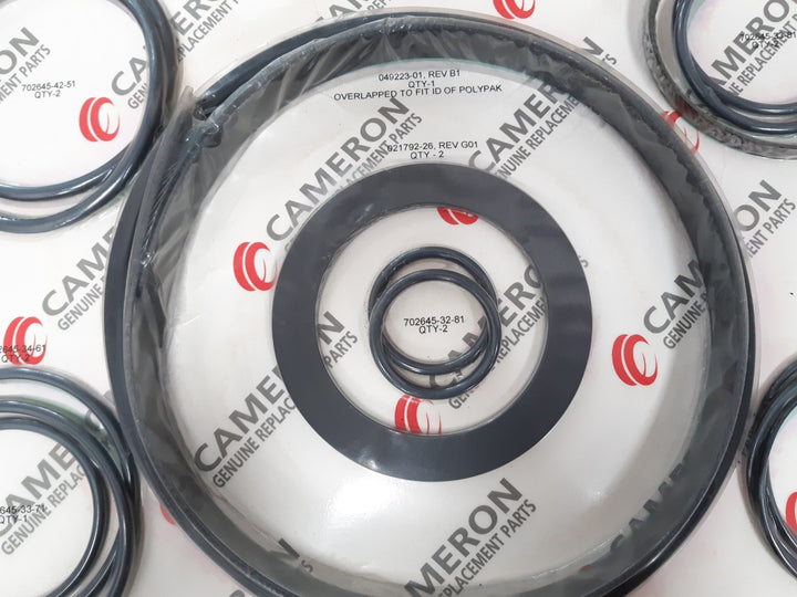 Cameron 644909-03 rebuild kit