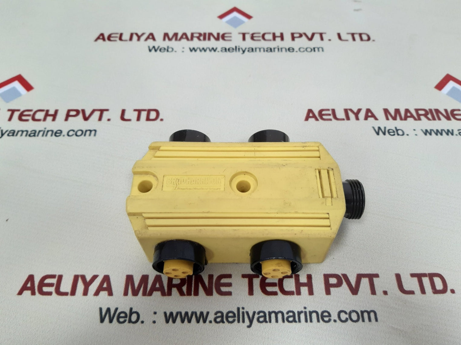 Brad harrison mpis multi-port interconnect