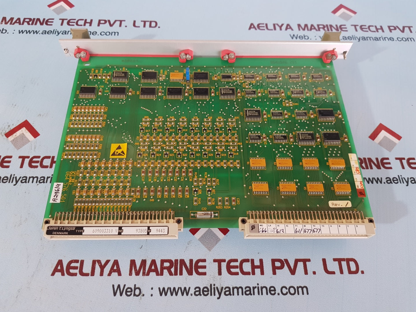 Soren T. Lyngso 609003310 V Gamma Di/Do Module