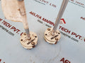 Ametek 2xpt100