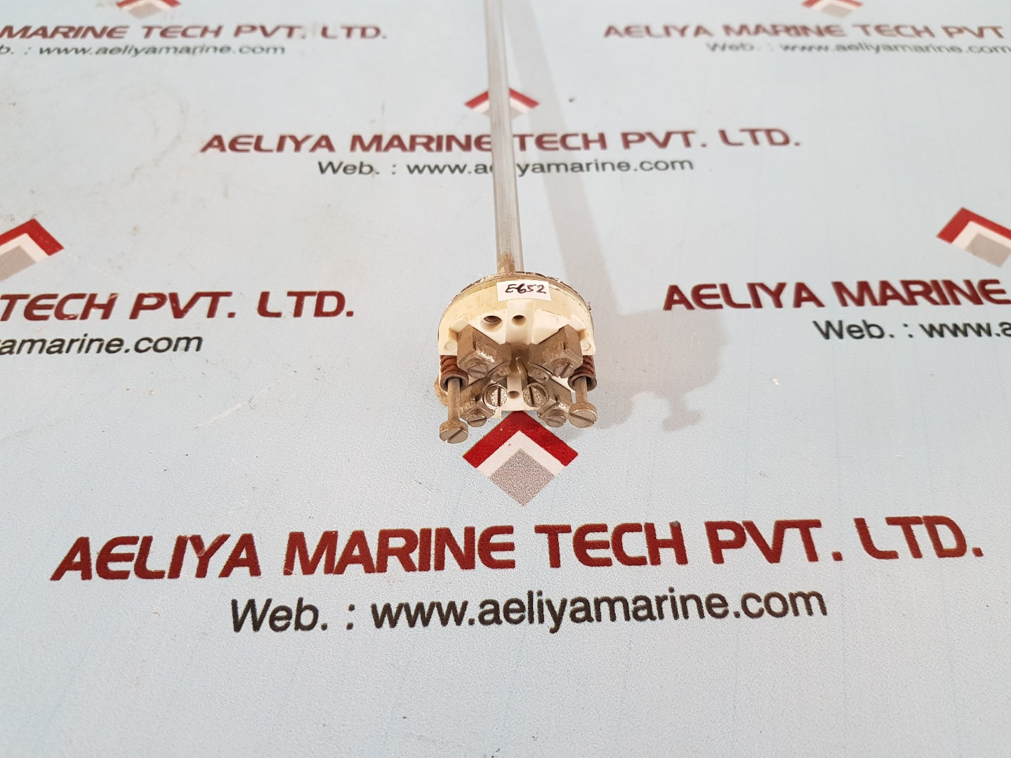 Ametek 2xpt100 578819