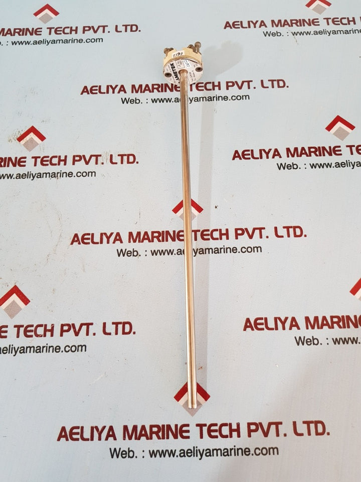 Ametek 2xpt100 578819