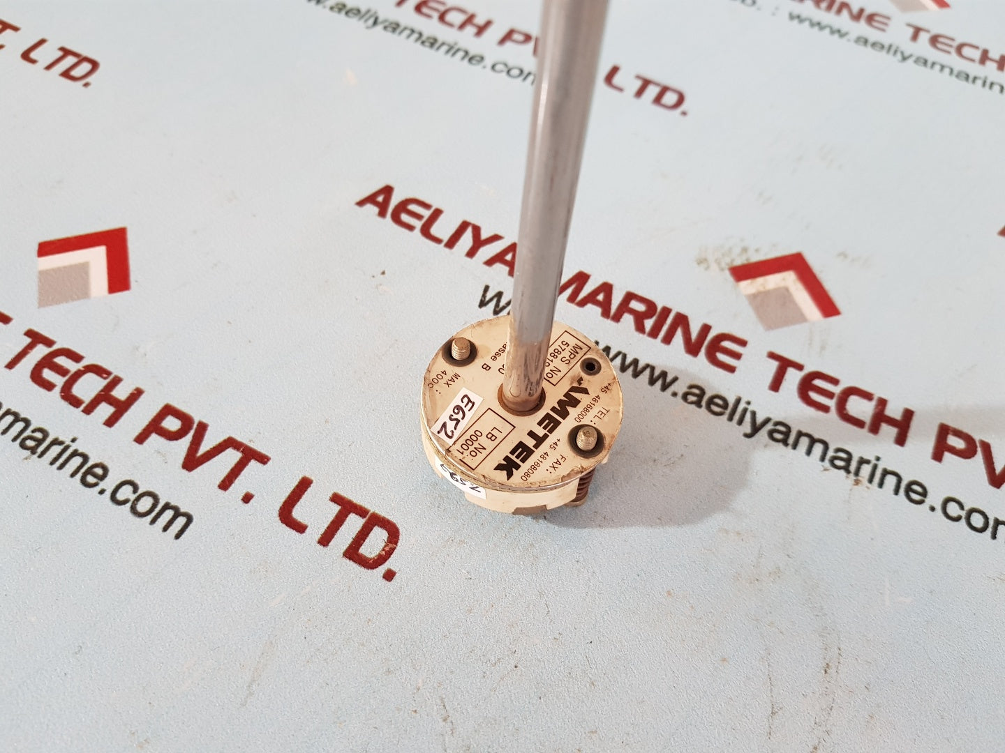 Ametek 2xpt100 578819