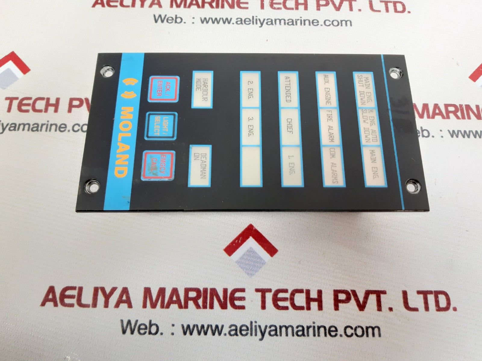 Moland 202575