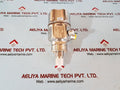 Endress+hauser cerabar m pmc51-ra25/0