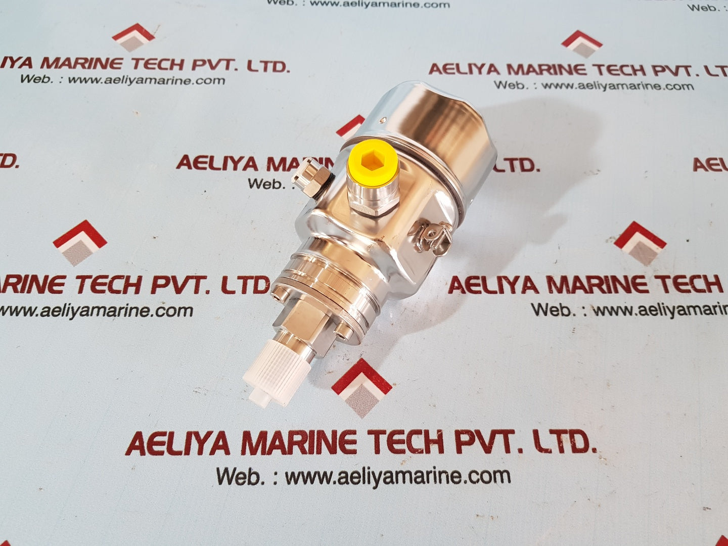 Endress+hauser cerabar m pmc51-ra25/0