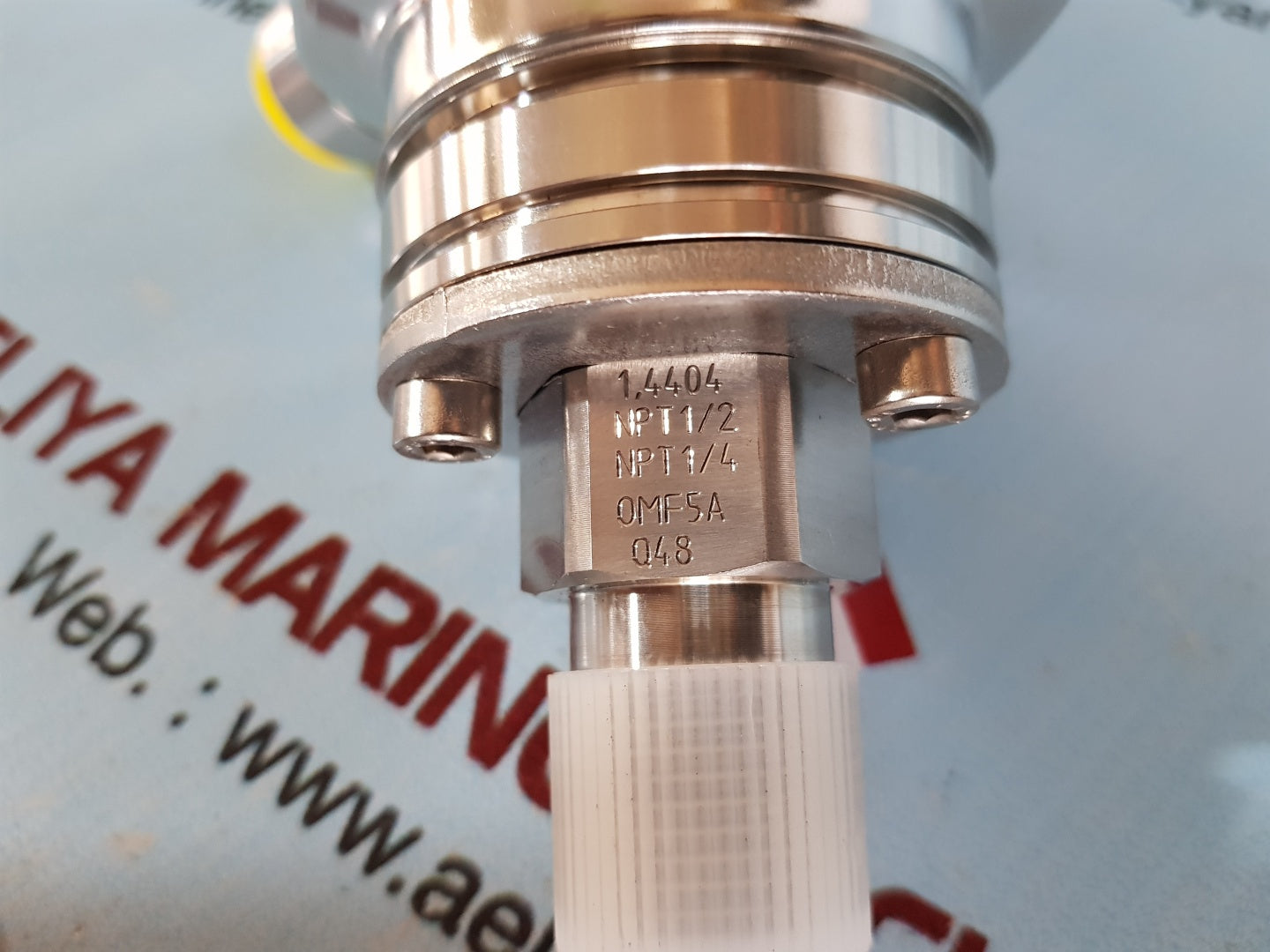 Endress+hauser cerabar m pmc51-ra25/0