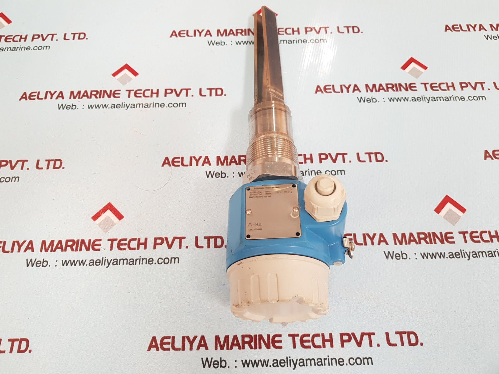 Endress+hauser ftm50-agg2a4a32aa soilphant level switch