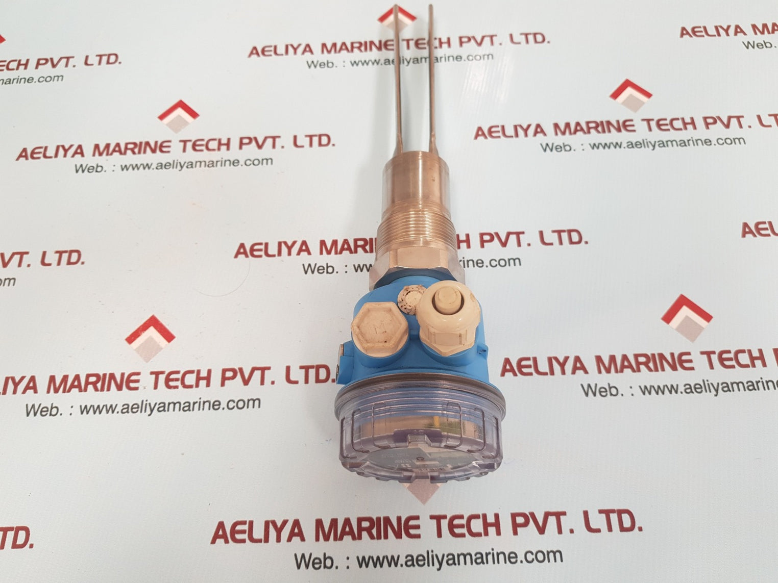 Endress+hauser ftm50-agg2a2a12aa soliphant m level switch 