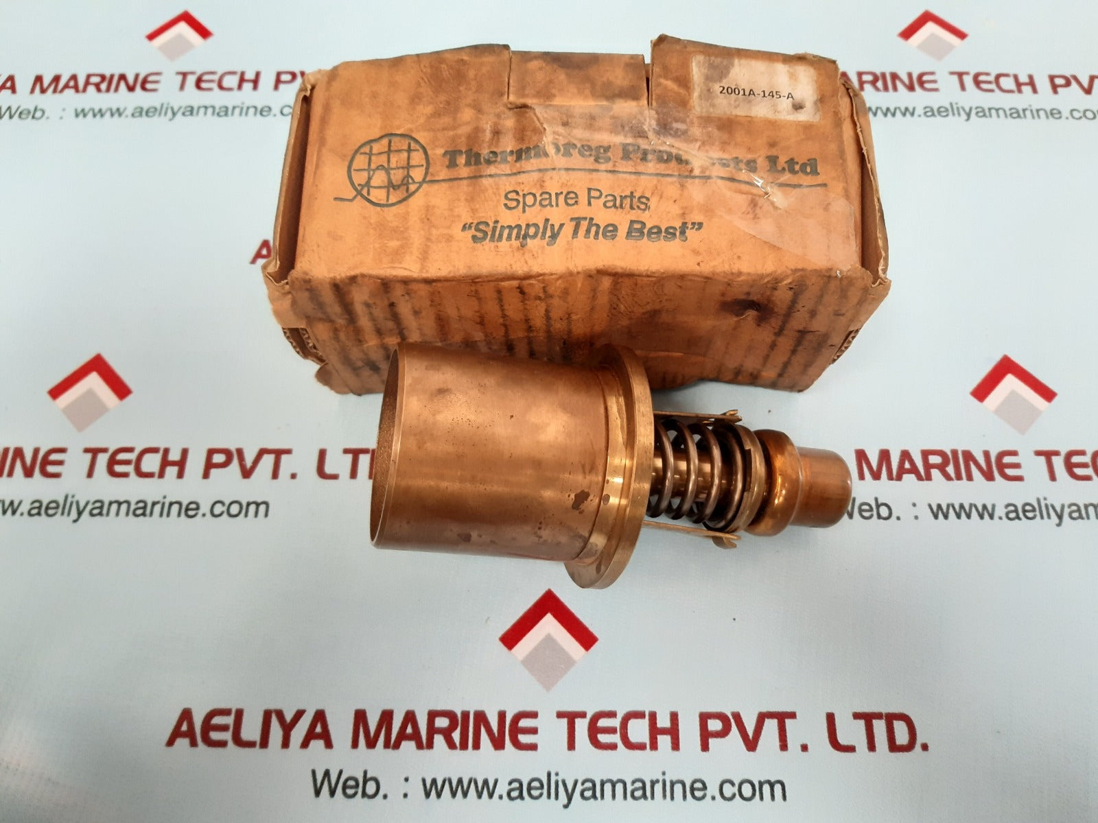 Thermoreg 2001a-145-a