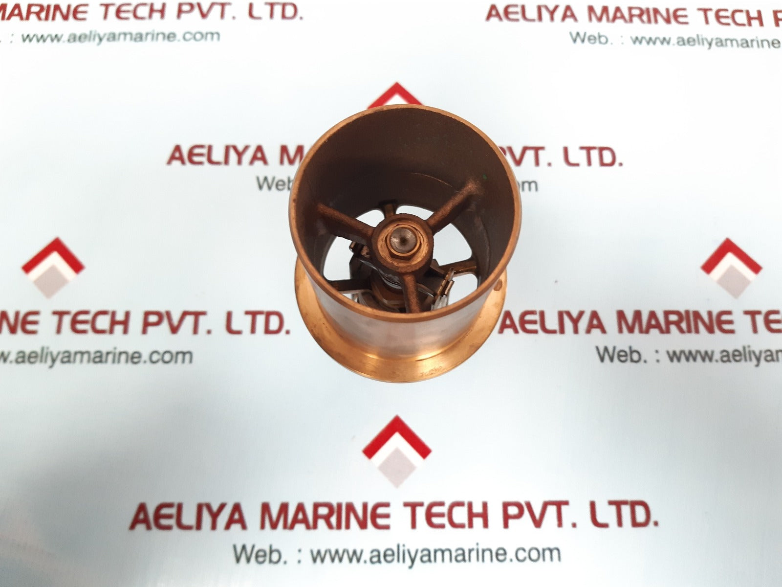 Thermoreg 2001a-145-a