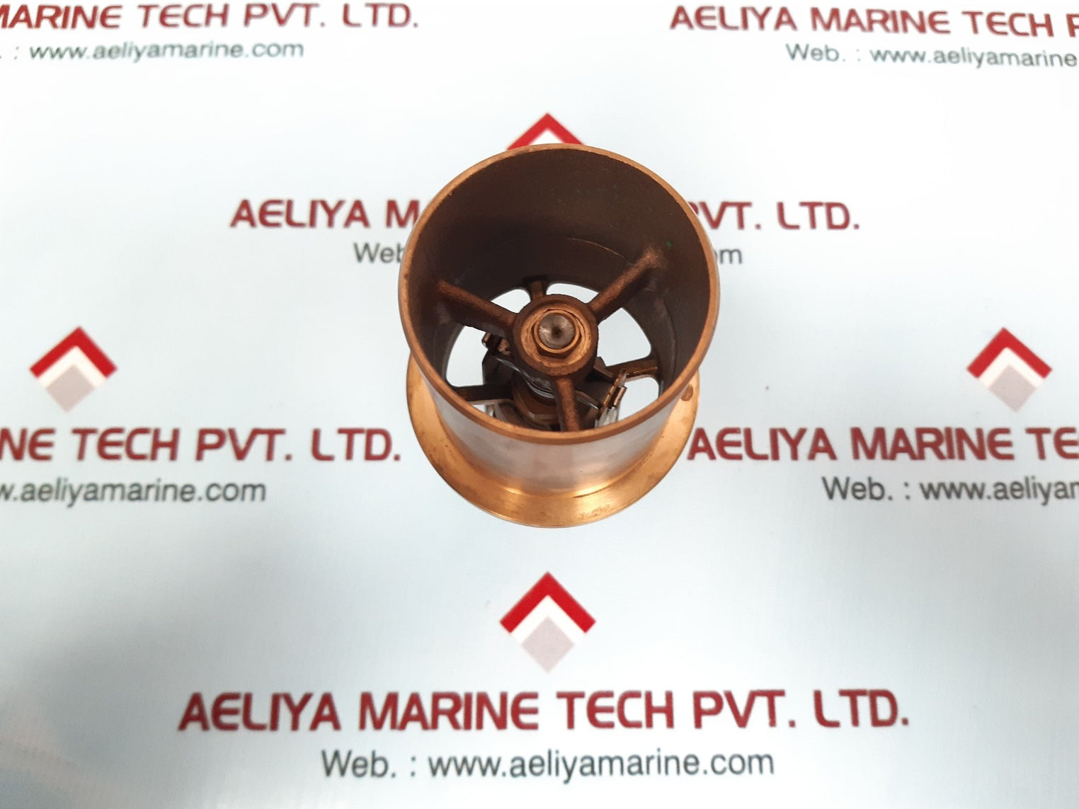 Thermoreg 2001a-145-a