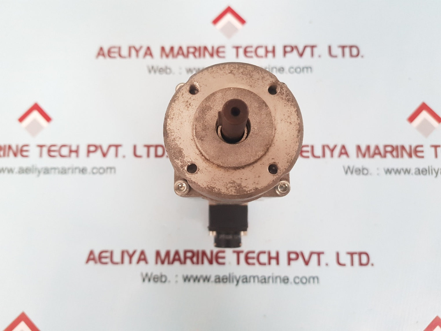 Selema dsm5 13.1095 pmsm brushless servomotor