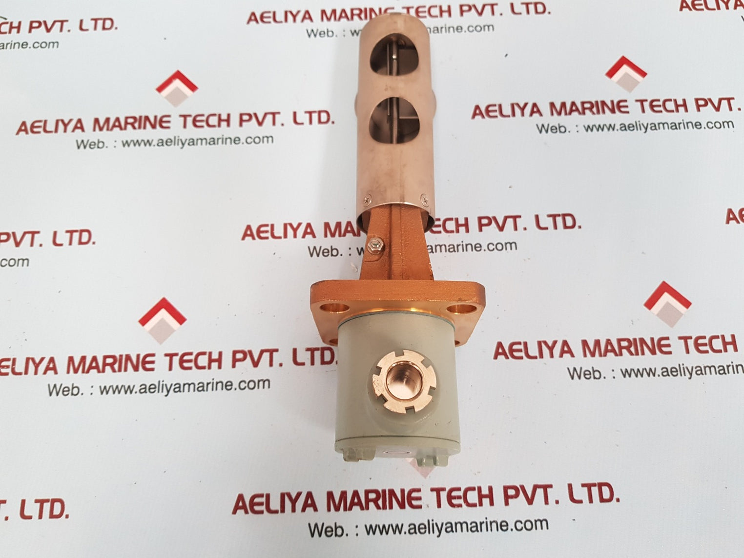 Taiyo bc-ftr-m flow switch