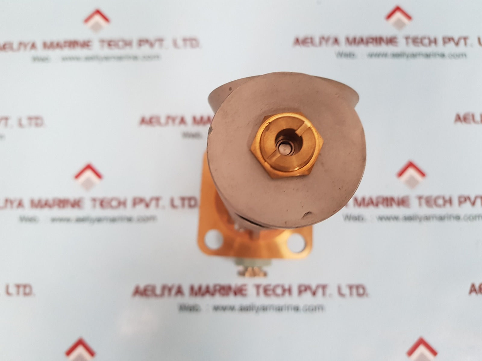Taiyo bc-ftr-m flow switch