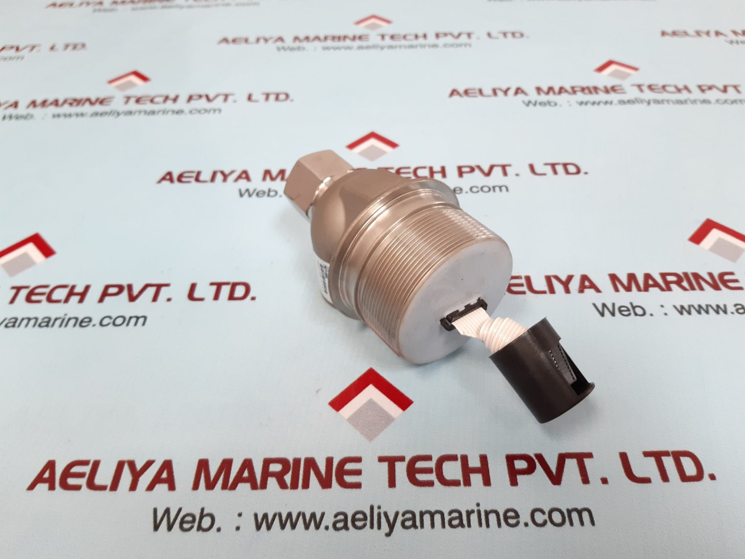 1/2 sil gp r1 hast module