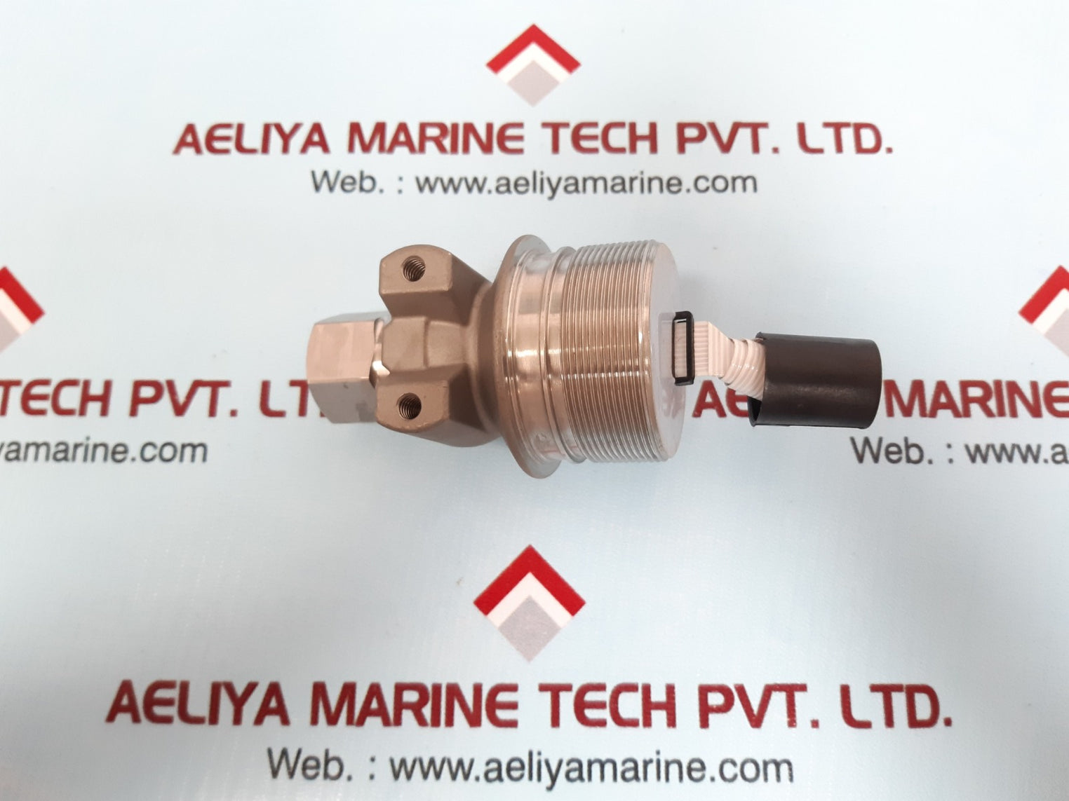 1/2 sil gp r1 hast module