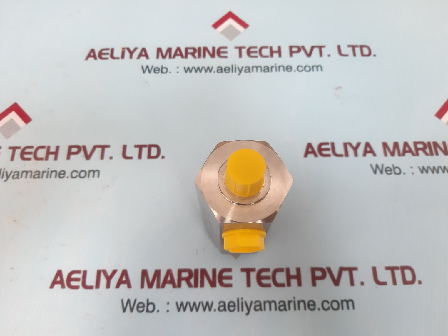 Bis valves rl25p-mi-g-6k