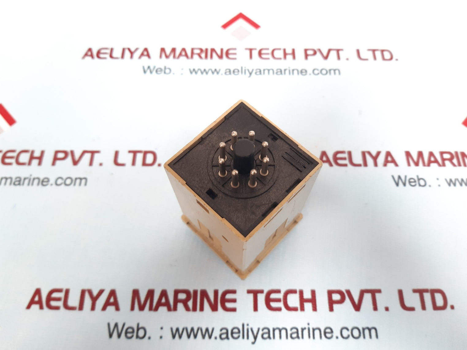 Seil Electron S48- C2 Timer Ac220 5A 250Vac Resistive Load