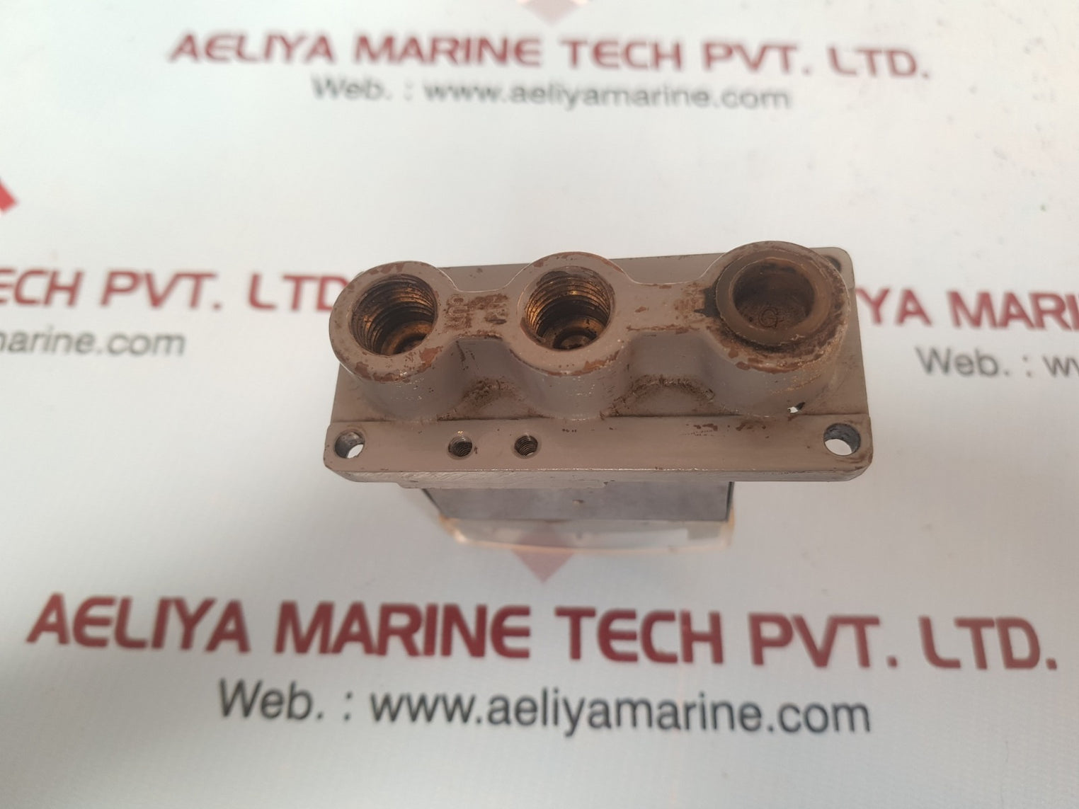 Nakakita Meter 1-0.5-0 Kg/Cm² Control Supply