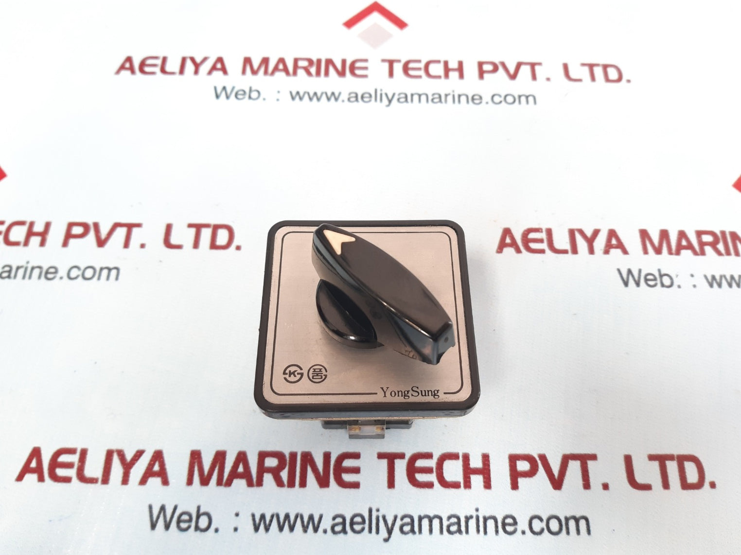 Yongsung C-60 Cam Switch Ac 250V 10A Max 600V