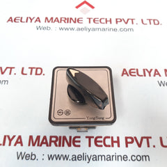 Yongsung C-60 Cam Switch Ac 250V 10A Max 600V