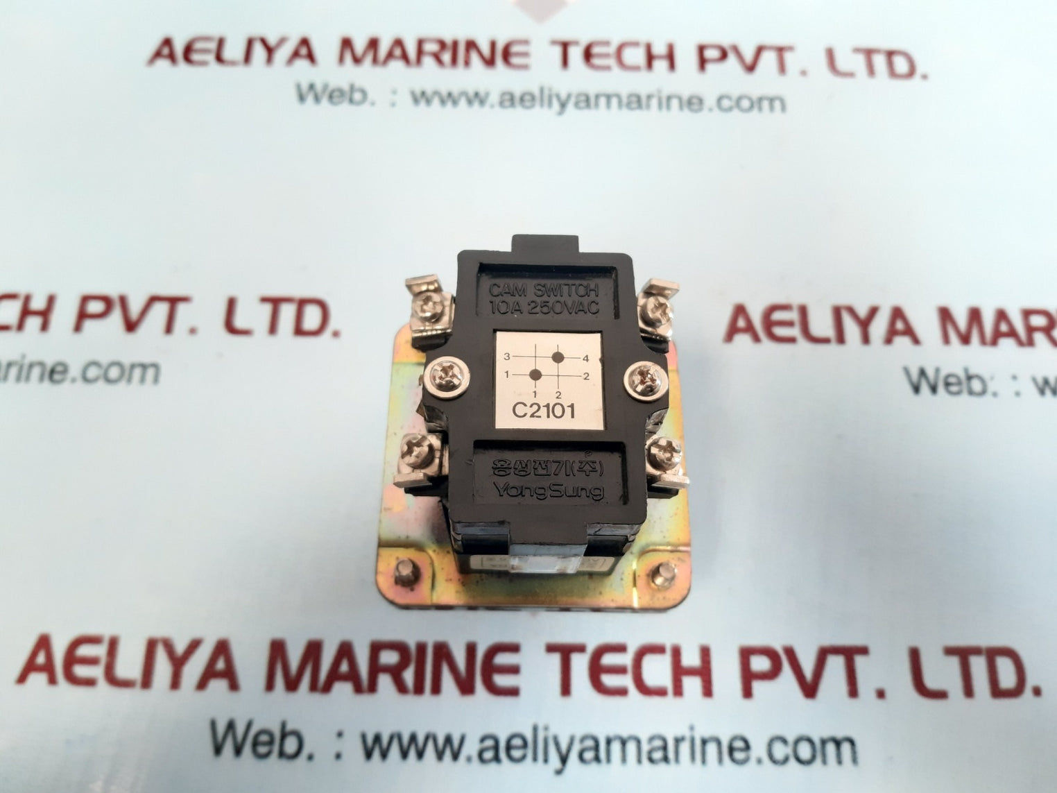 Yongsung C-60 Cam Switch Ac 250V 10A Max 600V