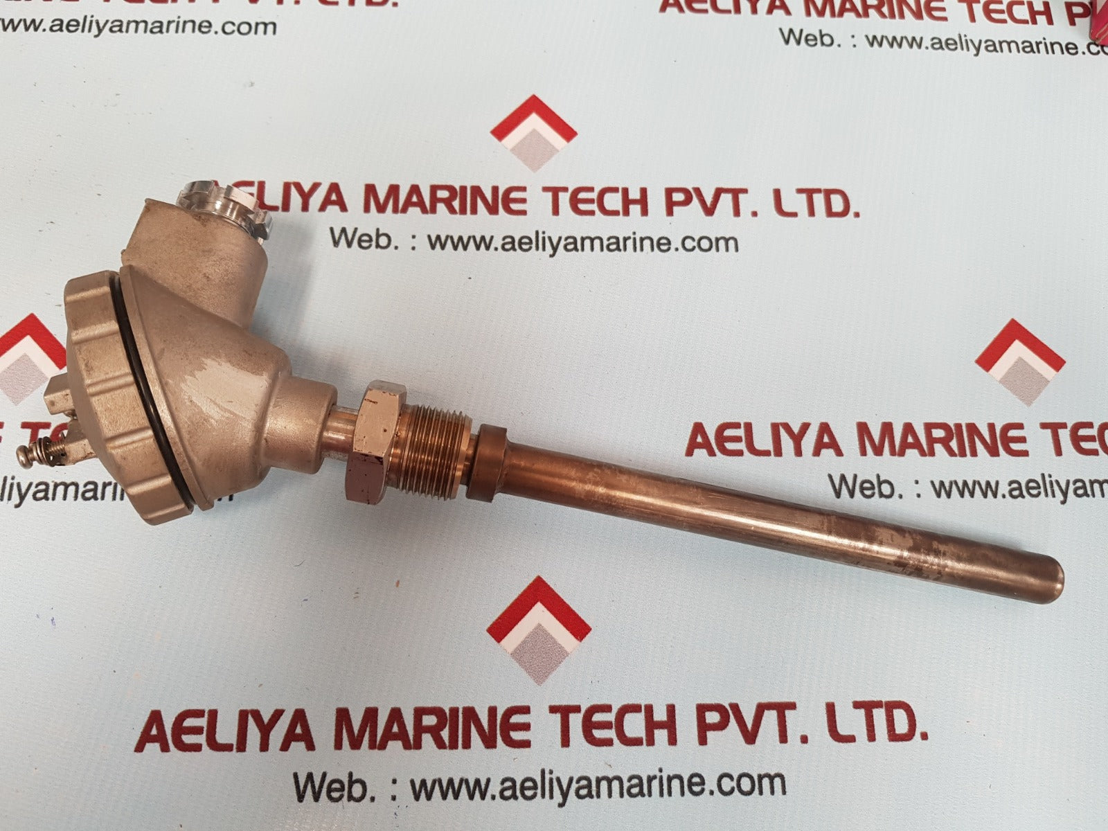 Pascal Ptm-sd Resistance Bulb 600'c Pt-100