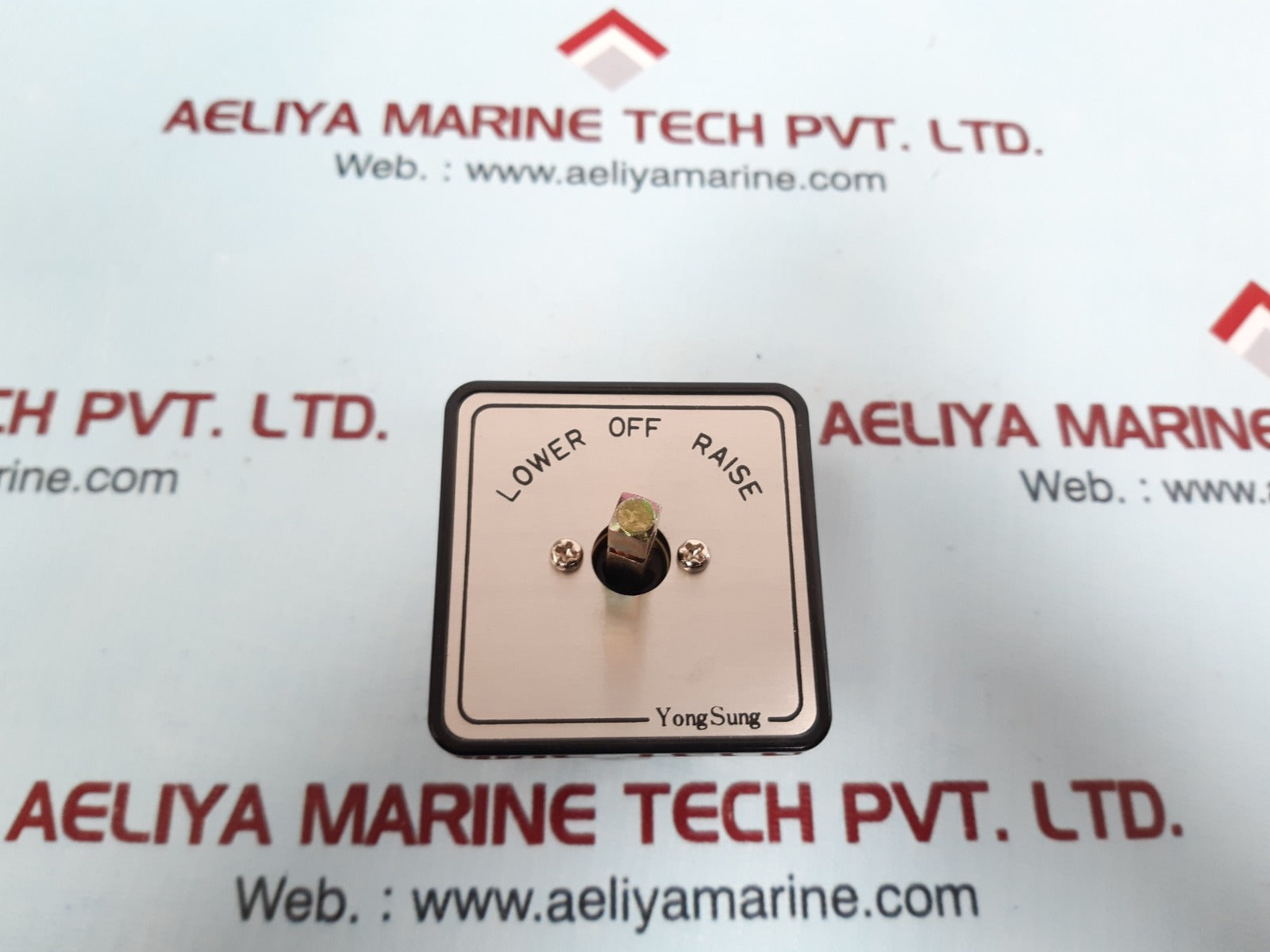 Yongsung c0605-64 apb cam switch 250vac 10a