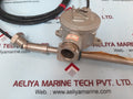 Daeyang Meiyo Electric Ptr M Resistance Bulb 200ºC