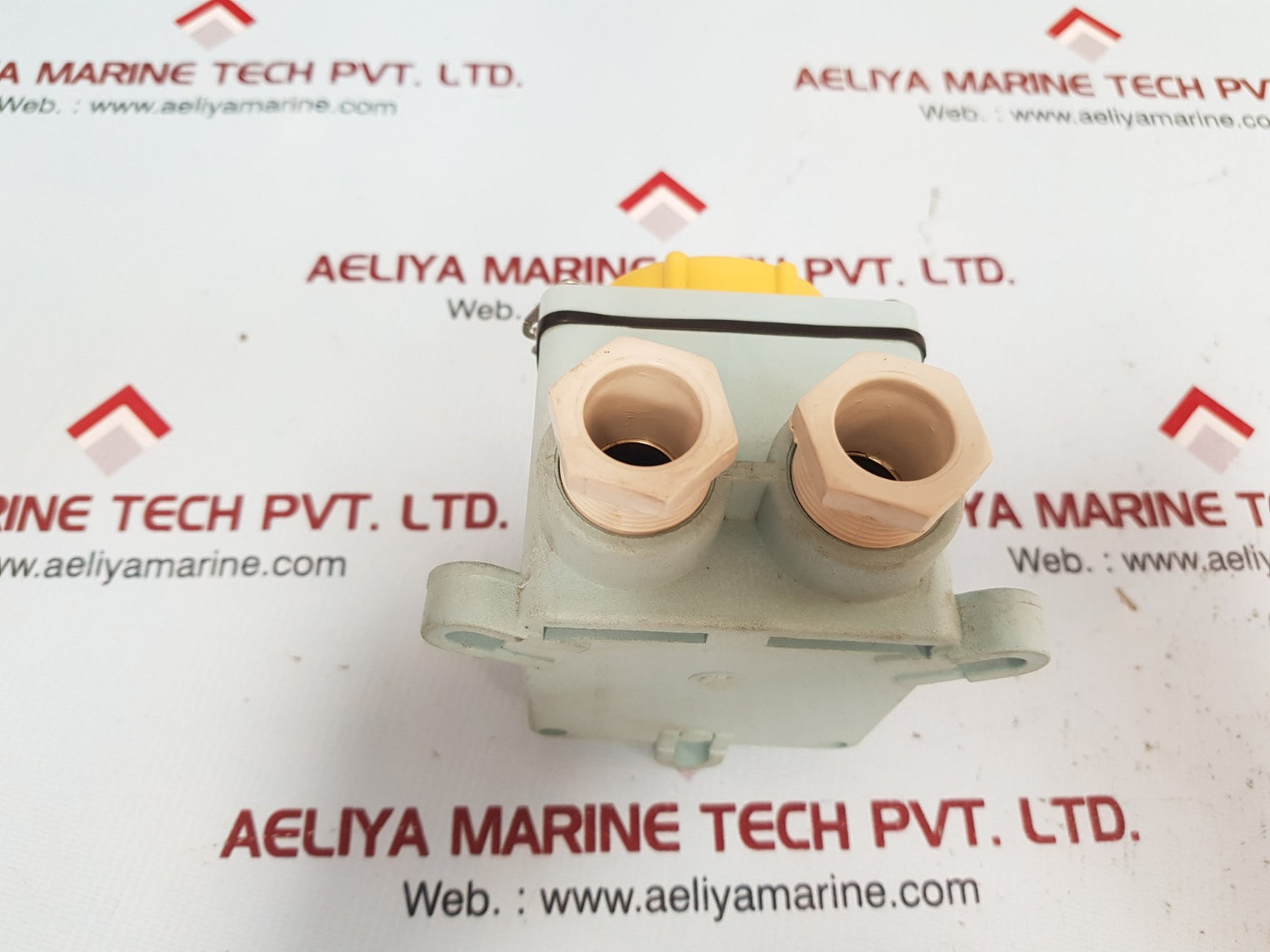 Senko guichi electric rl-2 2p+ socket outlet with interlock