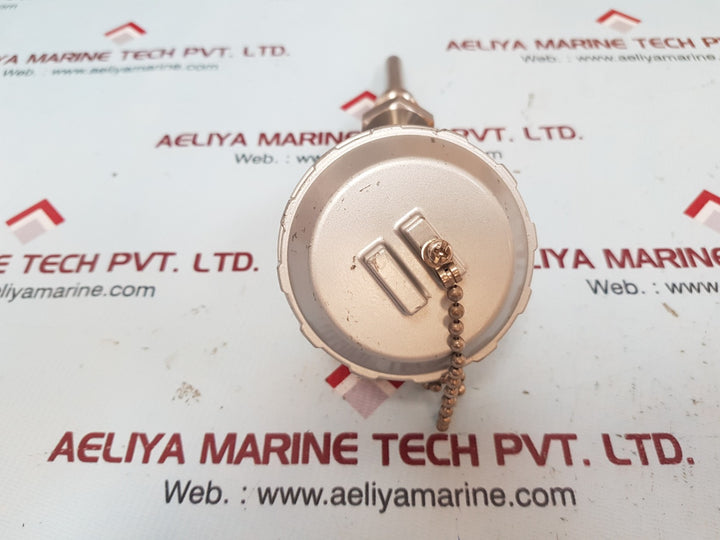 Nidox pt=100 ohm resistance bulb.