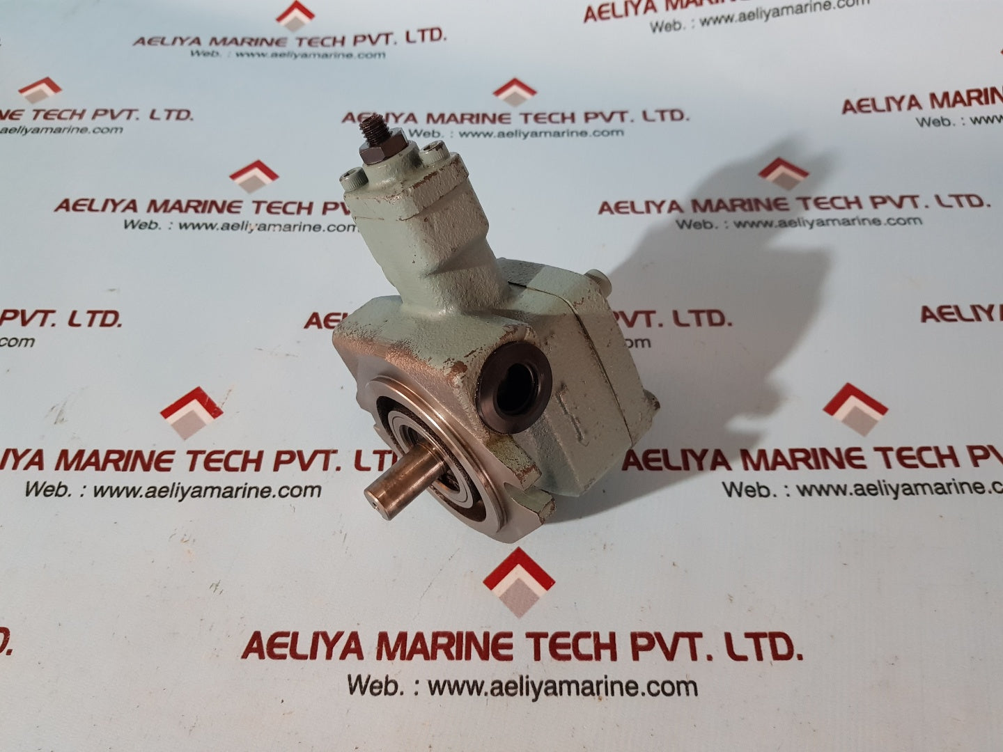 Rexroth 0 513 200 101 hydraulic vane pump