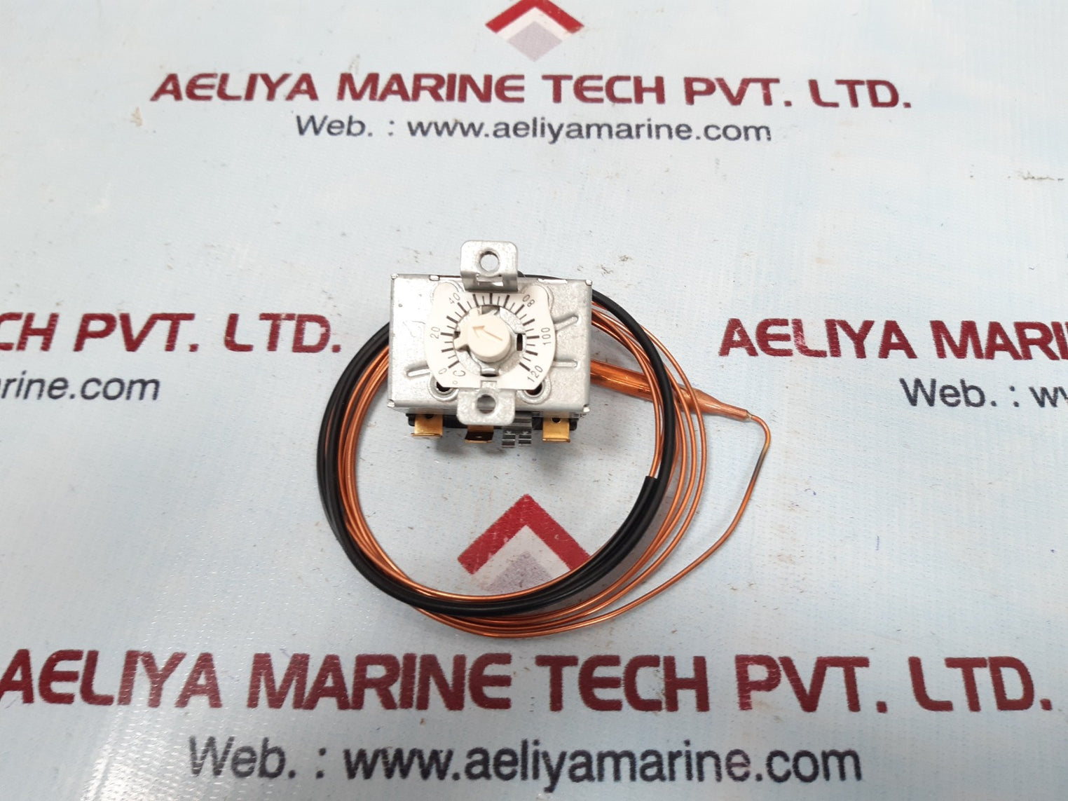 Jumo 602030/02 thermostat