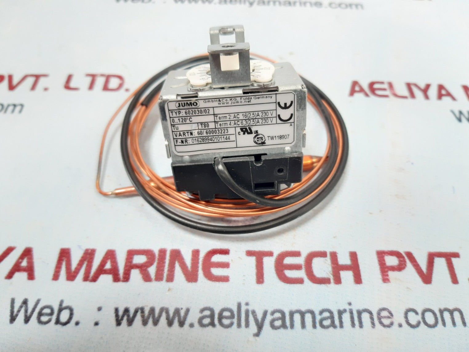 Jumo 602030/02 thermostat