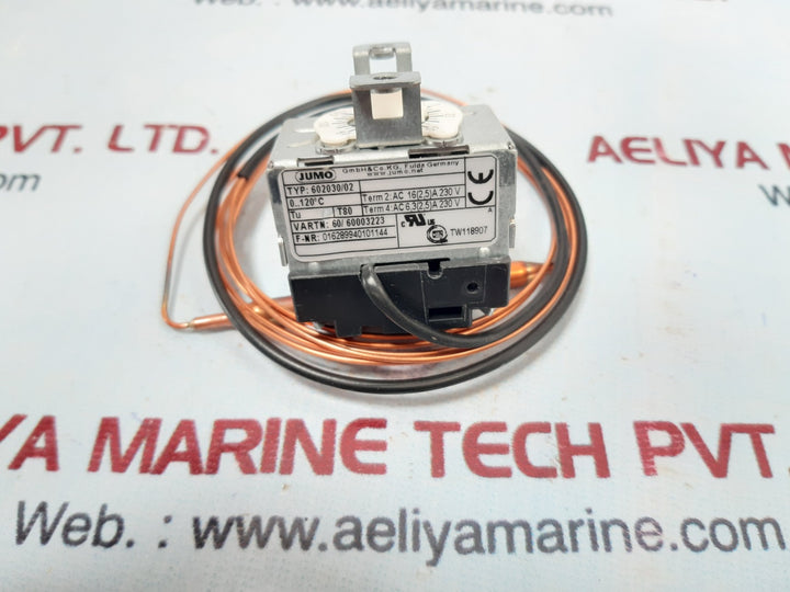 Jumo 602030/02 thermostat