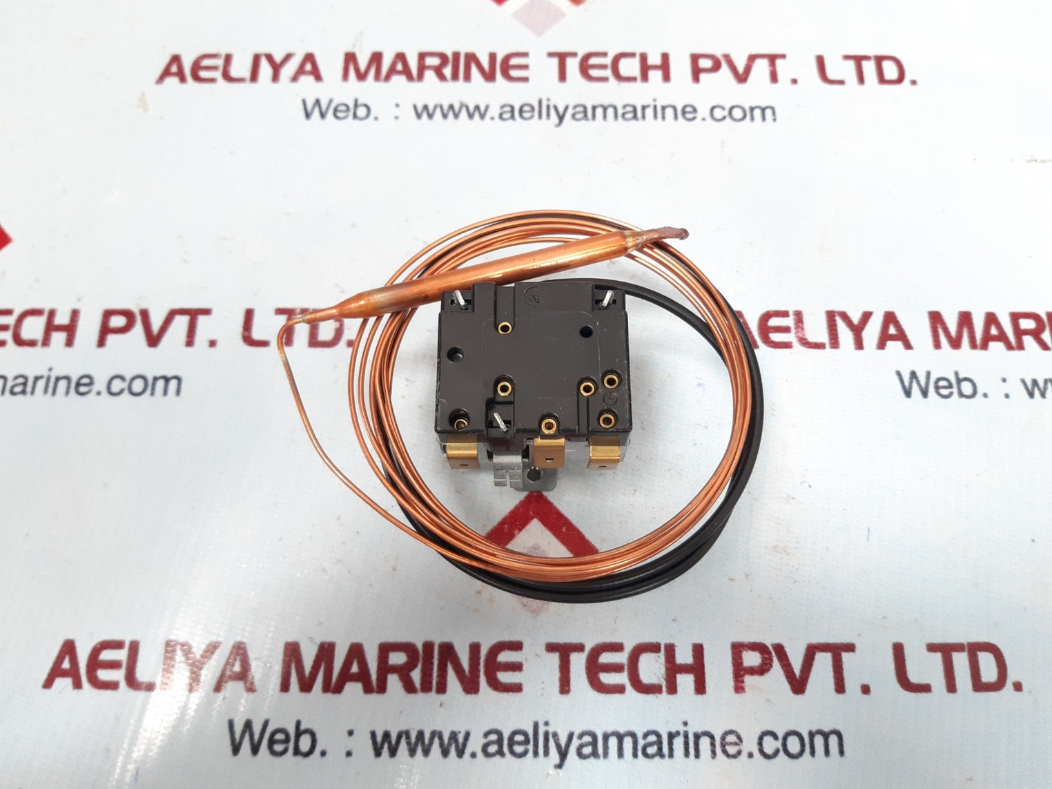 Jumo 602030/02 thermostat