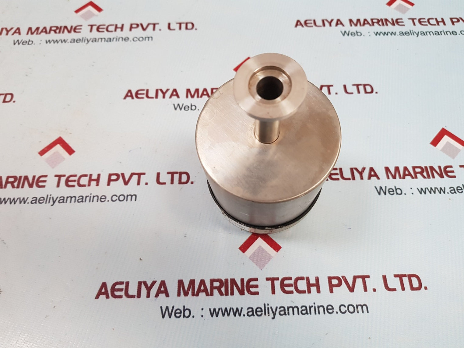 Mks 627bx01mdc4b profibus manometer