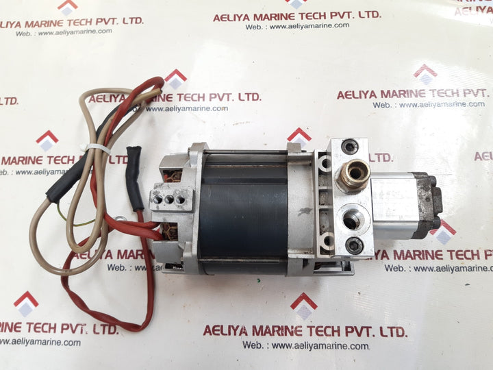 Oil sistem pump motor n96