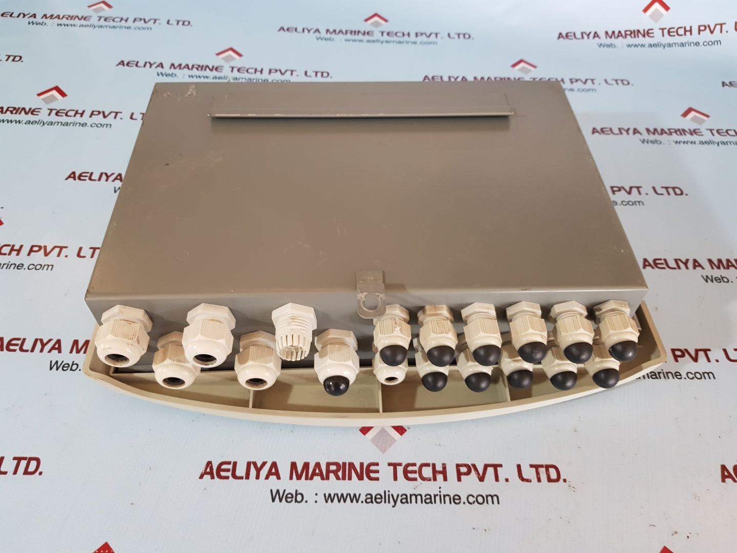 Oldham mx43 gas detection analog & digital controller